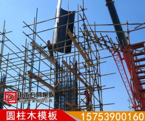 圆柱木模板降低施工成本真的好节省